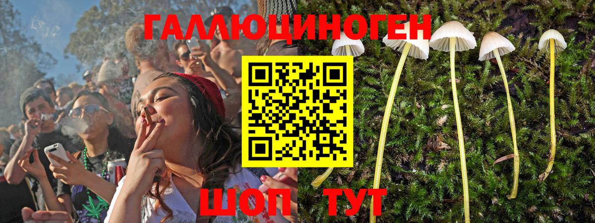 Псилоцибиновые грибы GOLDEN TEACHER Обь