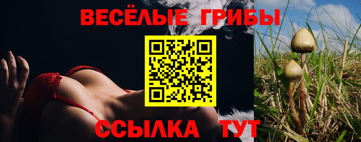 Обь  купить наркоту  Вход с VPN  Галлюциногенные грибы GOLDEN TEACHER 